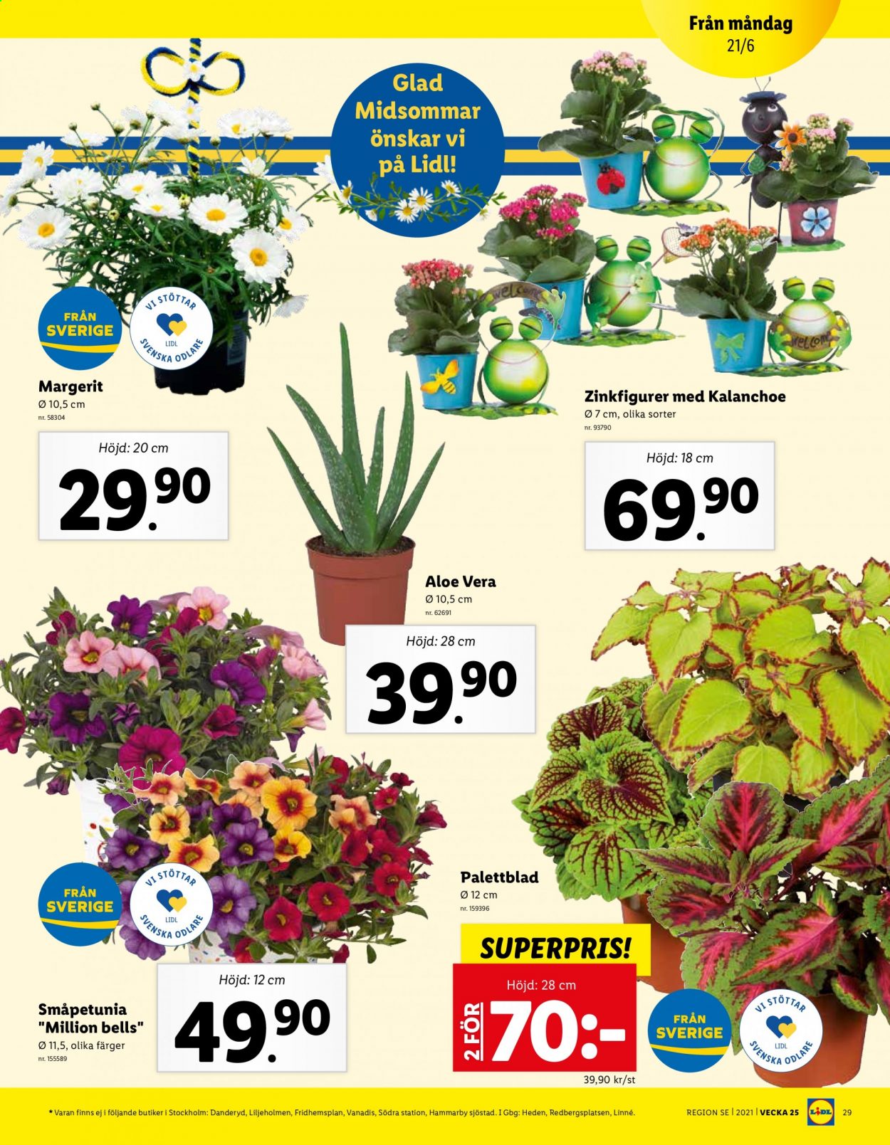 Lidl reklamblad - 21/6 2021 - 27/6 2021. Sida 29