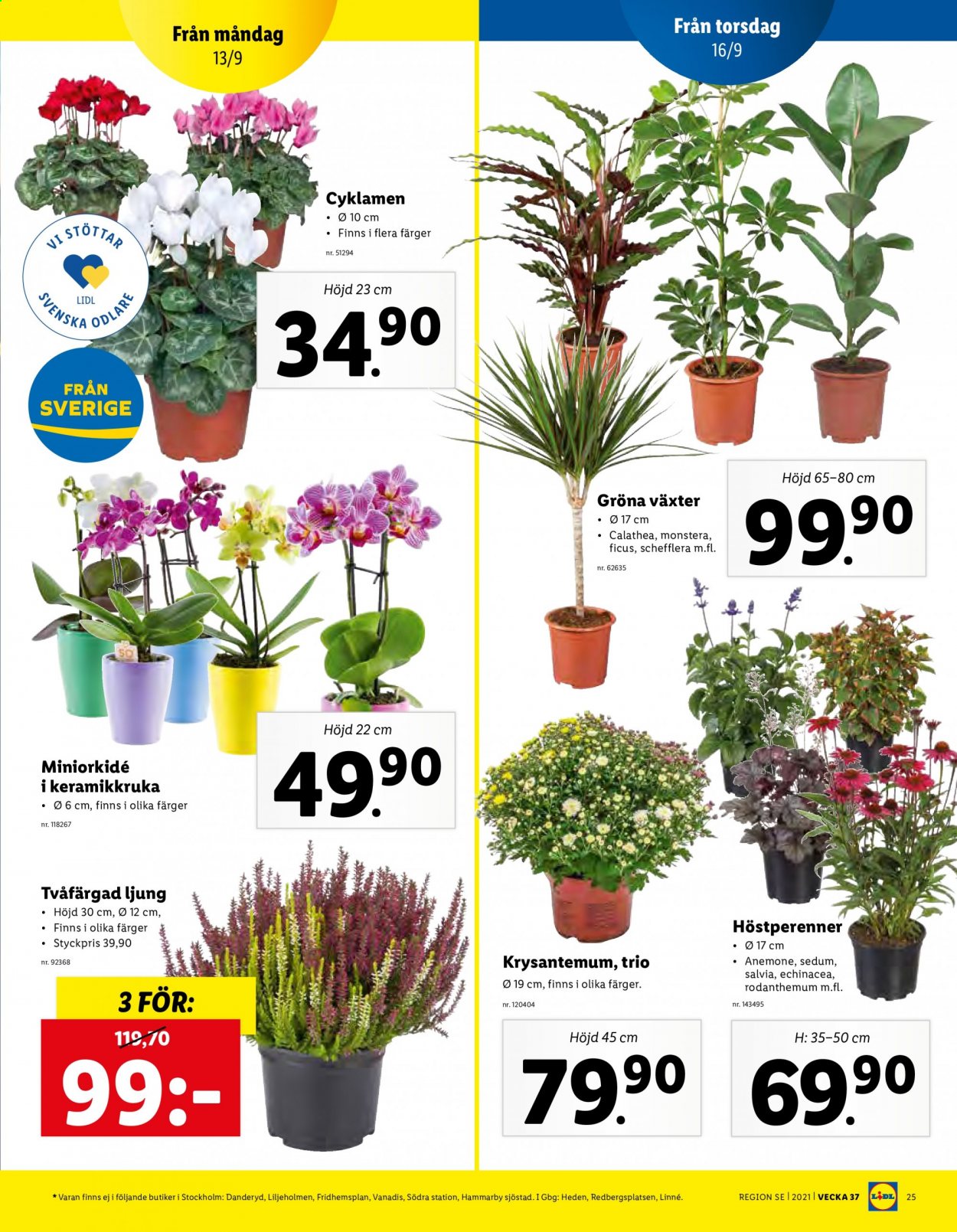 Lidl reklamblad - 13/9 2021 - 19/9 2021. Sida 25