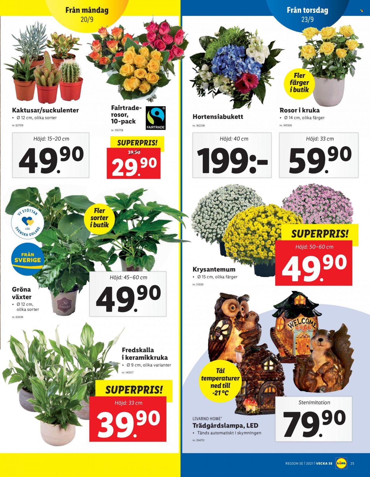 Lidl reklamblad - 20/9 2021 - 26/9 2021. Sida 25