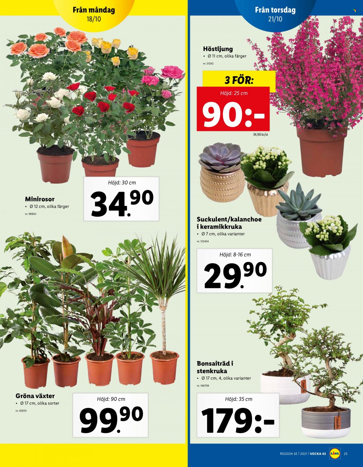 Lidl reklamblad - 18/10 2021 - 24/10 2021. Sida 25
