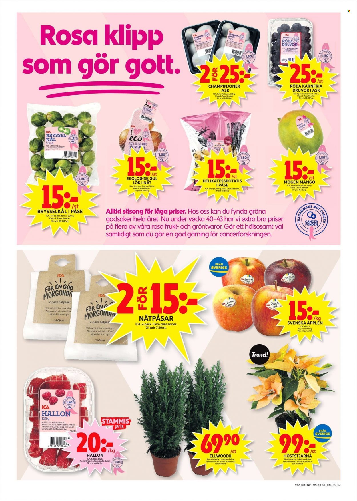ICA reklamblad - 18/10 2021 - 24/10 2021. Sida 6