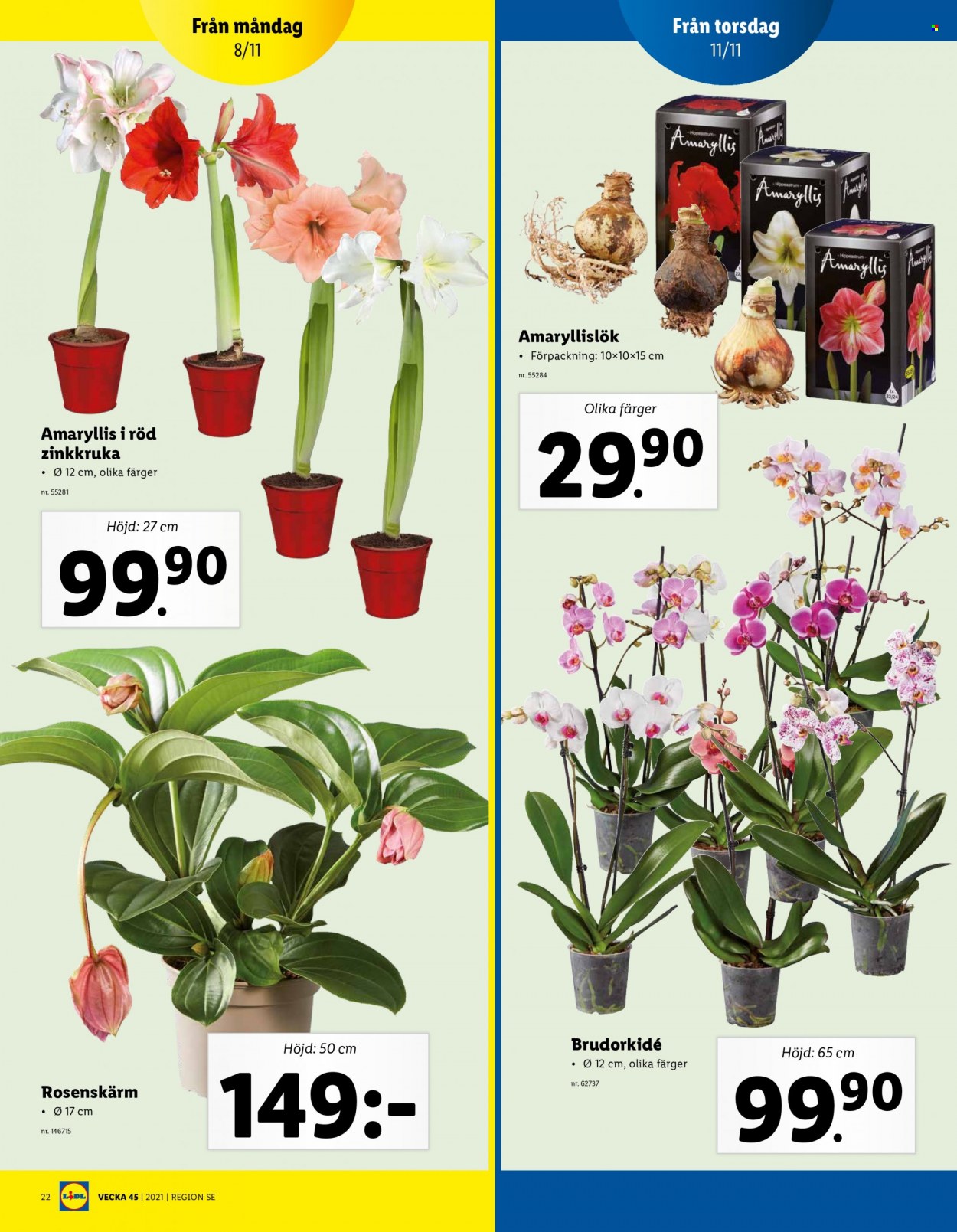 Lidl reklamblad - 8/11 2021 - 14/11 2021. Sida 22