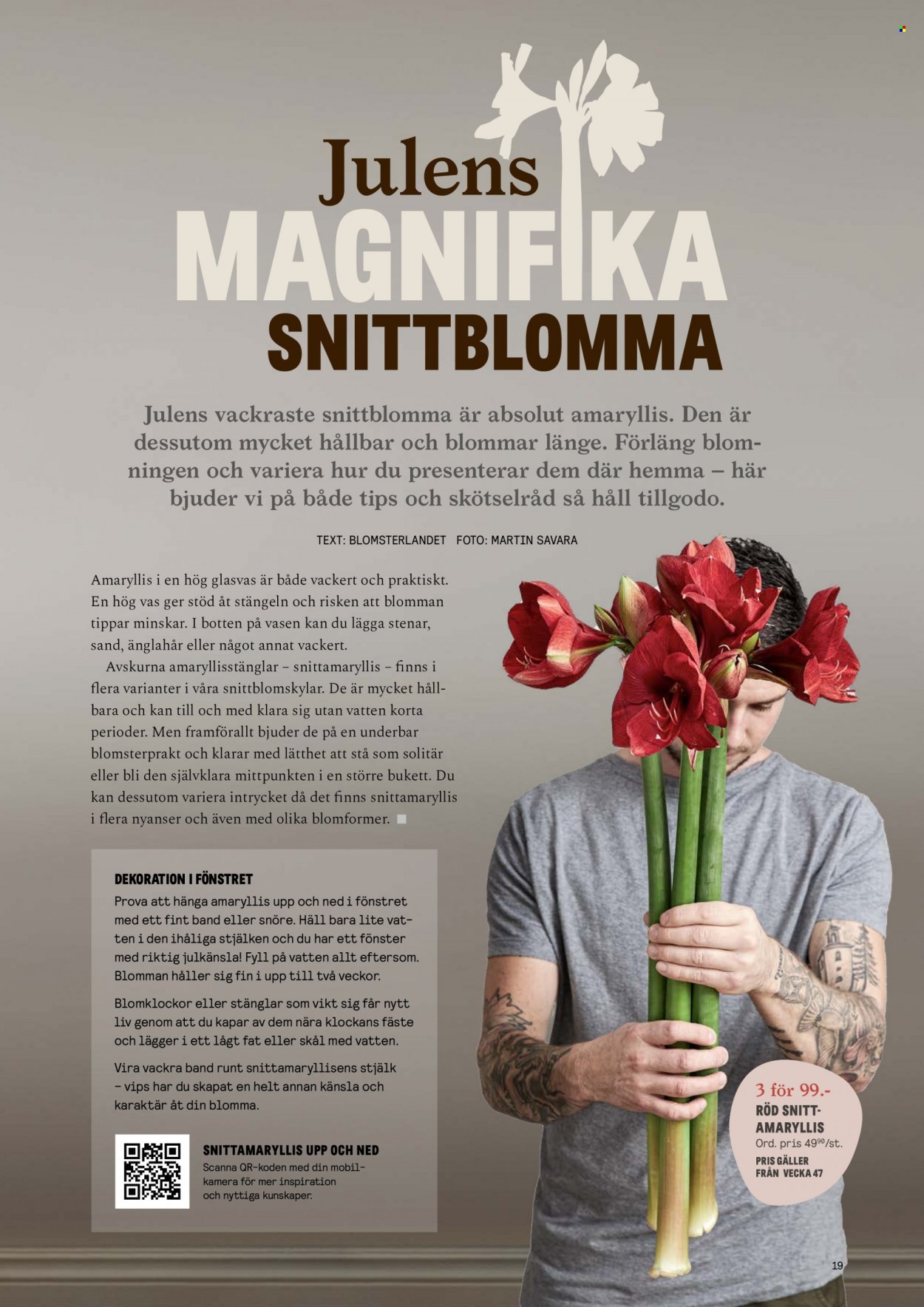 thumbnail - Blomsterlandet reklamblad - varor från reklamblad - dekoration, Amaryllis, blomma. Sida 19.