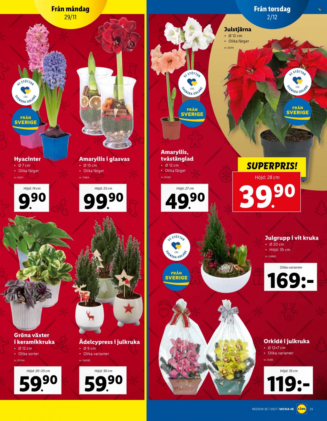 Lidl reklamblad - 29/11 2021 - 5/12 2021. Sida 25