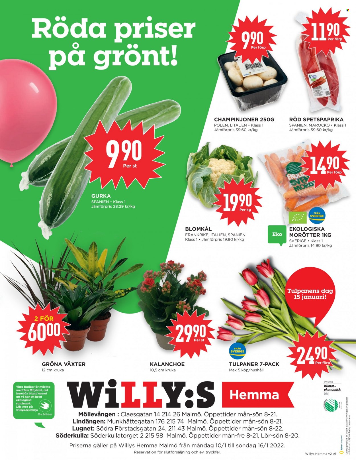 Willys reklamblad - 10/1 2022 - 16/1 2022. Sida 6