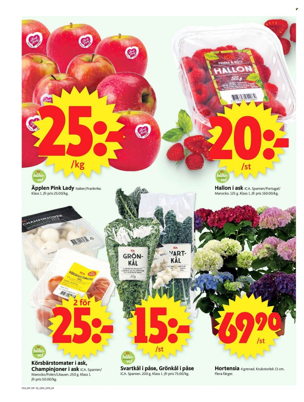 ICA reklamblad - 24/1 2022 - 30/1 2022. Sida 3
