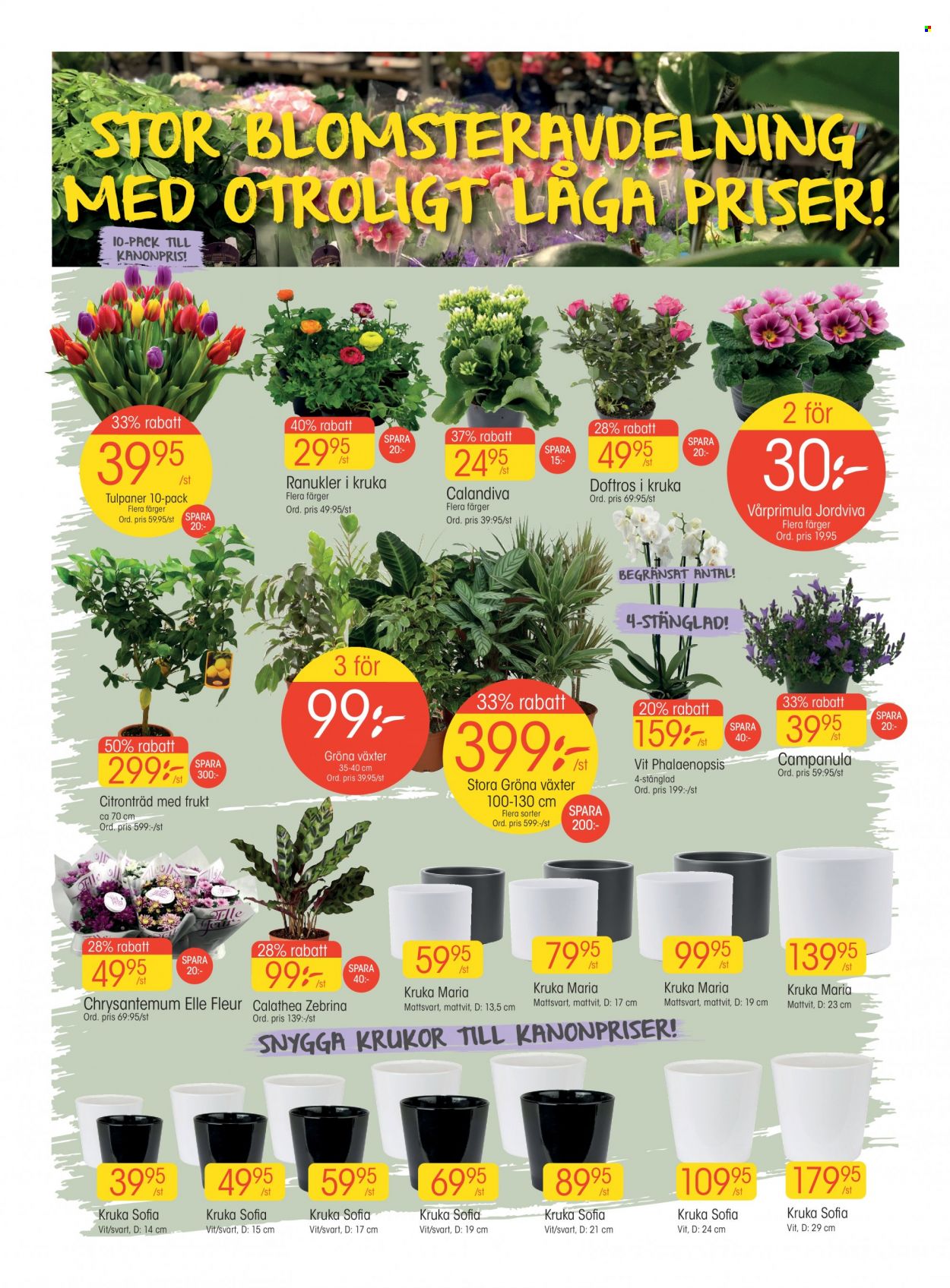 EKO reklamblad - 7/2 2022 - 13/2 2022. Sida 2