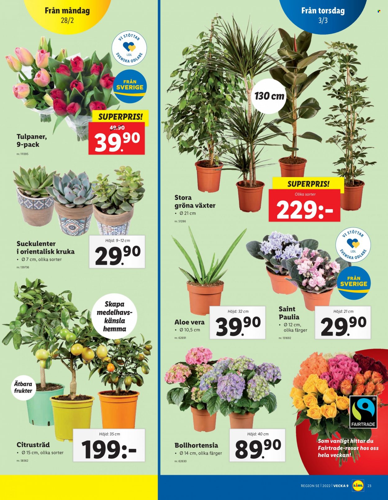 Lidl reklamblad - 28/2 2022 - 6/3 2022. Sida 23