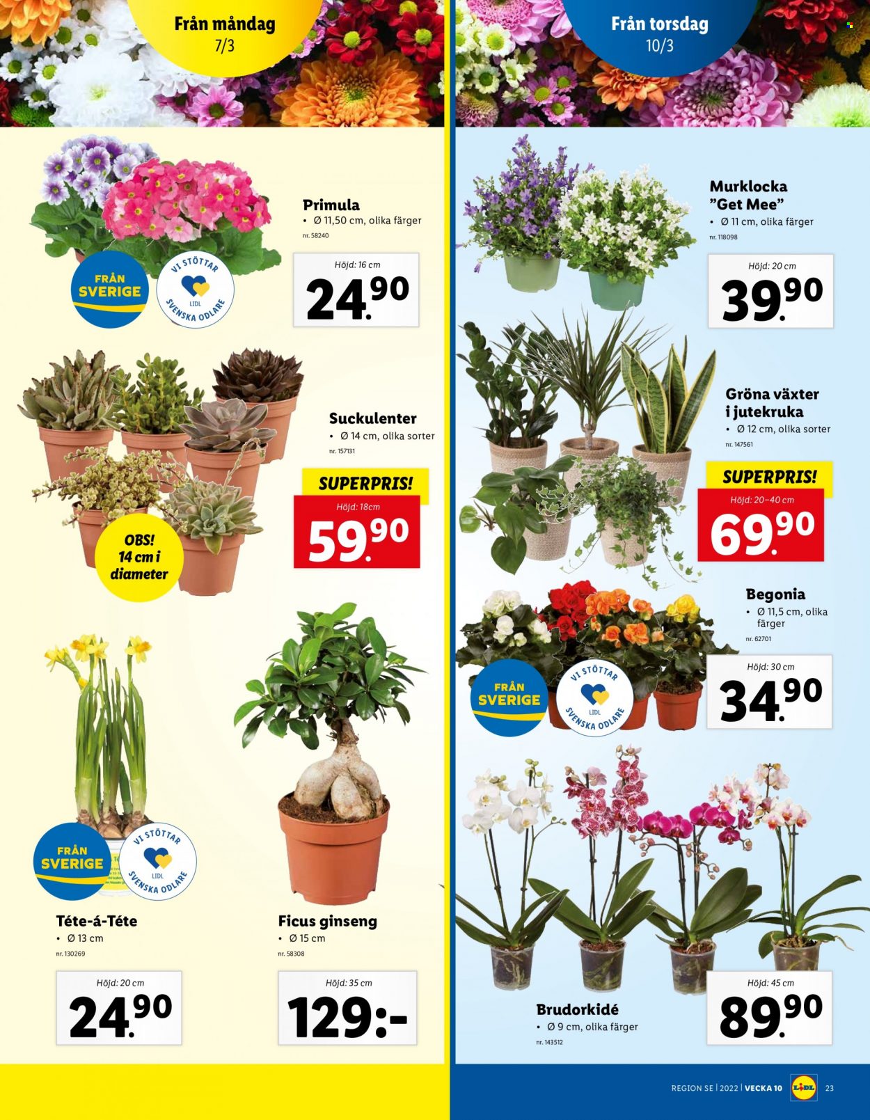 Lidl reklamblad - 7/3 2022 - 13/3 2022. Sida 23