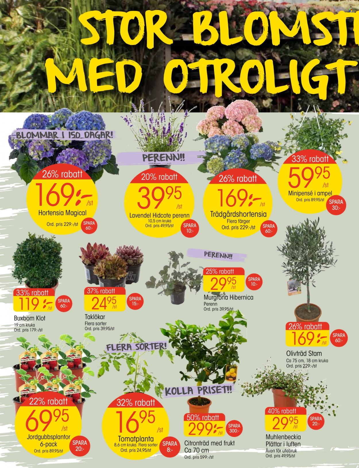 EKO reklamblad - 11/4 2022 - 18/4 2022. Sida 2