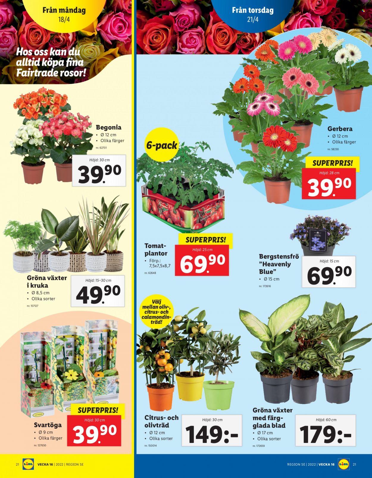 Lidl reklamblad - 18/4 2022 - 24/4 2022. Sida 23