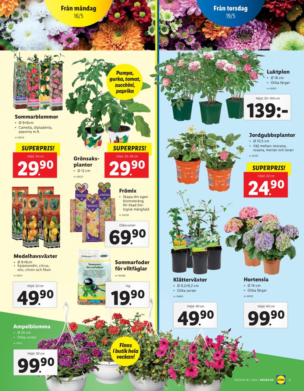 Lidl reklamblad - 16/5 2022 - 22/5 2022. Sida 23