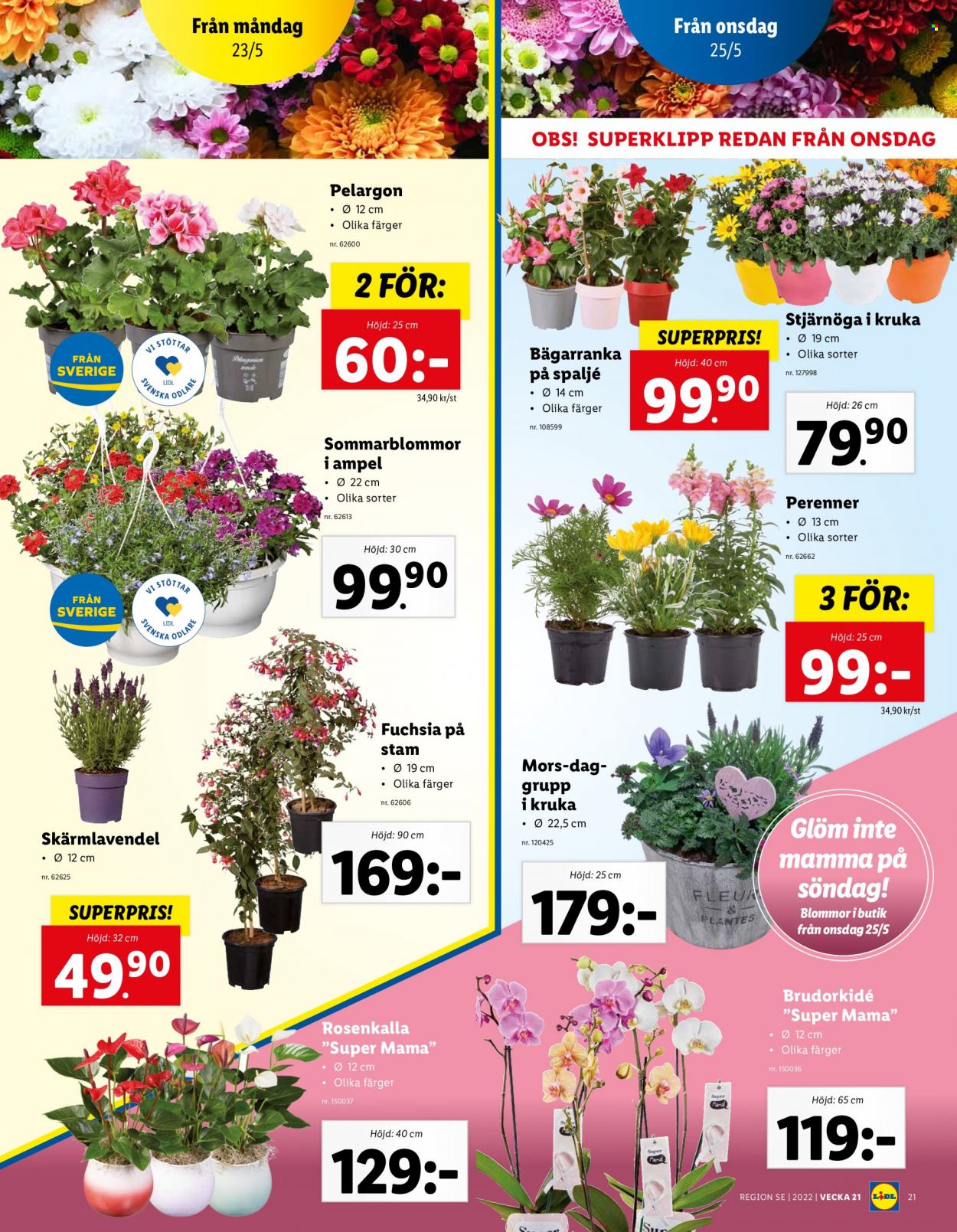 Lidl reklamblad - 23/5 2022 - 29/5 2022. Sida 21