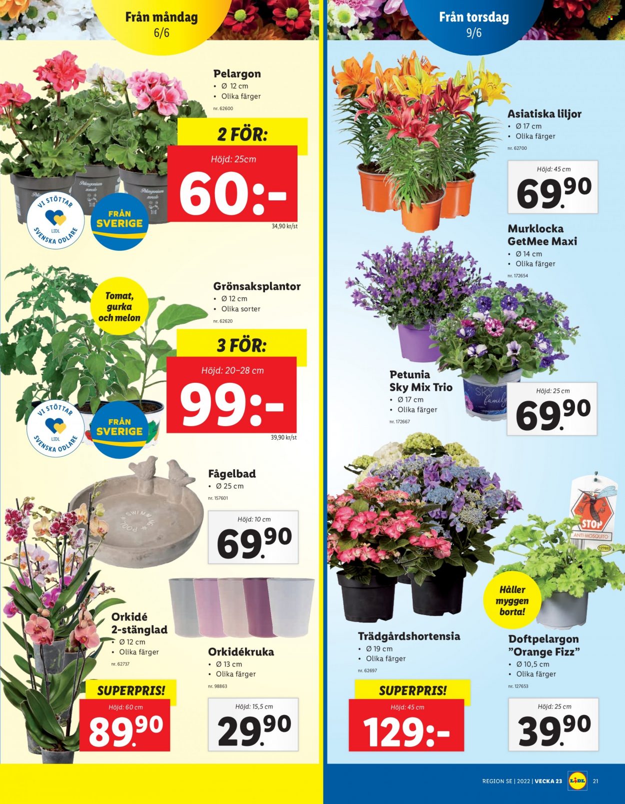 Lidl reklamblad - 6/6 2022 - 12/6 2022. Sida 23