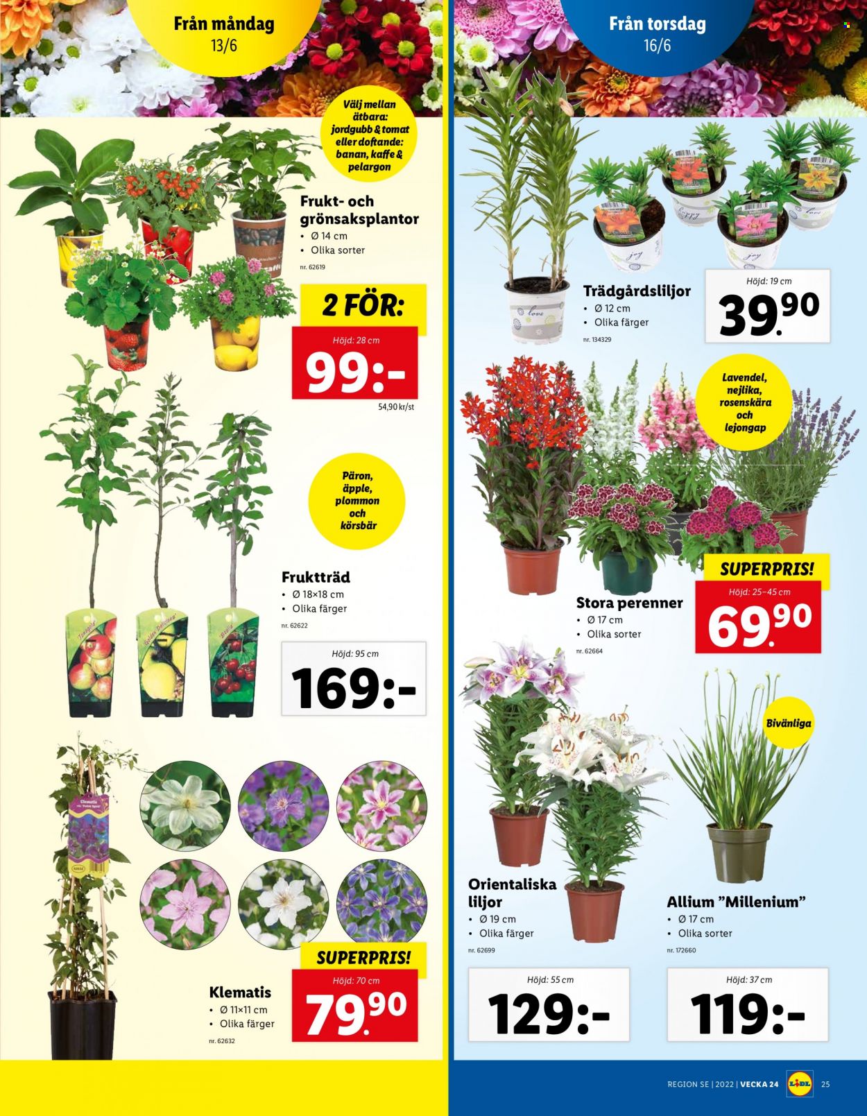 Lidl reklamblad - 13/6 2022 - 19/6 2022. Sida 29