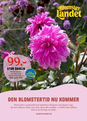 Blomsterlandet reklamblad - 6/6 2022 - 12/6 2022.