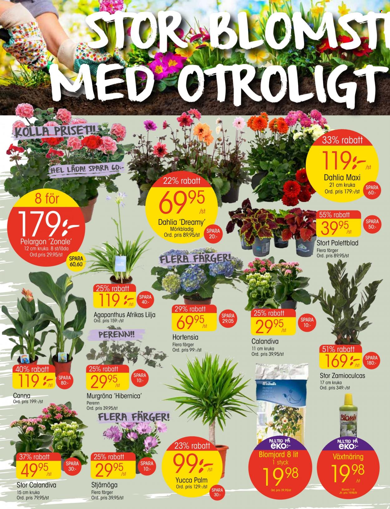 EKO reklamblad - 13/6 2022 - 19/6 2022. Sida 2