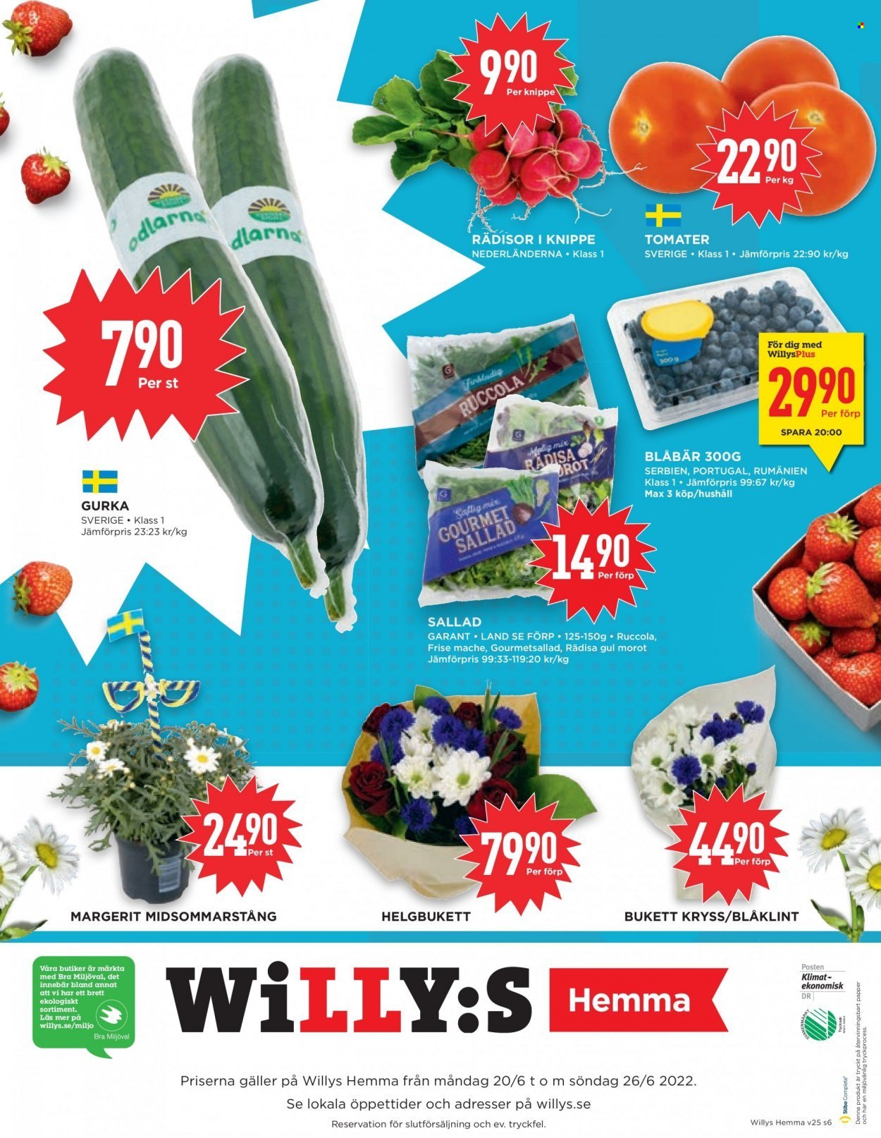 Willys Hemma reklamblad - 20/6 2022 - 26/6 2022. Sida 6