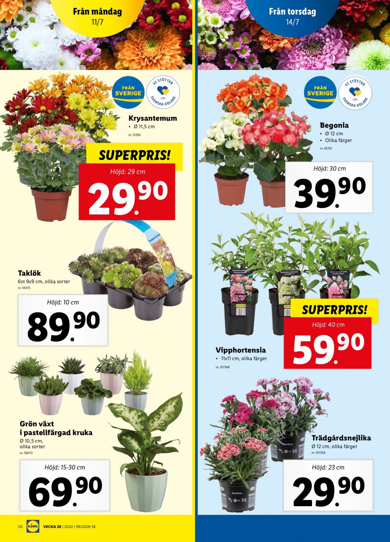 Lidl reklamblad - 11/7 2022 - 17/7 2022. Sida 22
