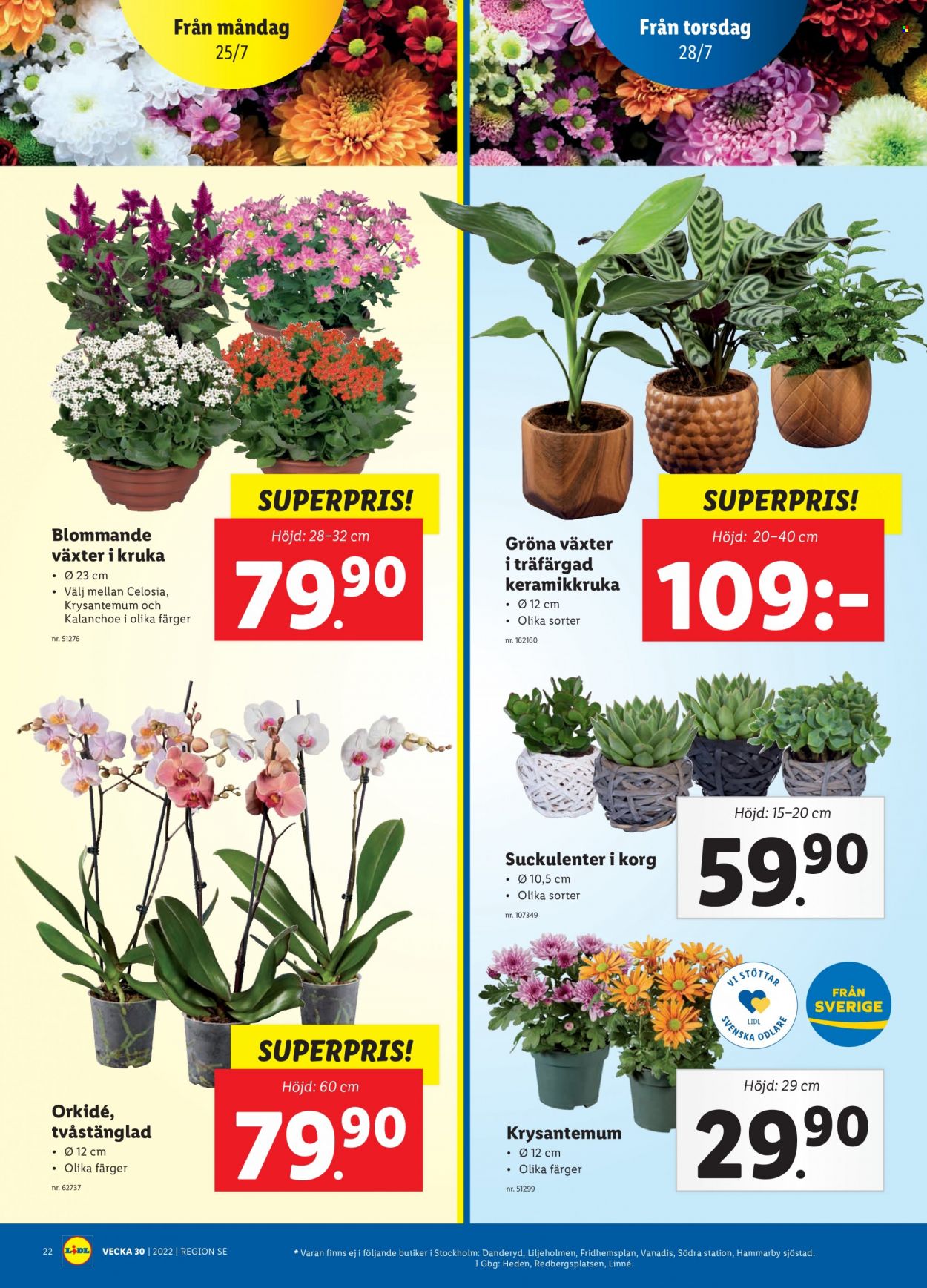 Lidl reklamblad - 25/7 2022 - 31/7 2022. Sida 26