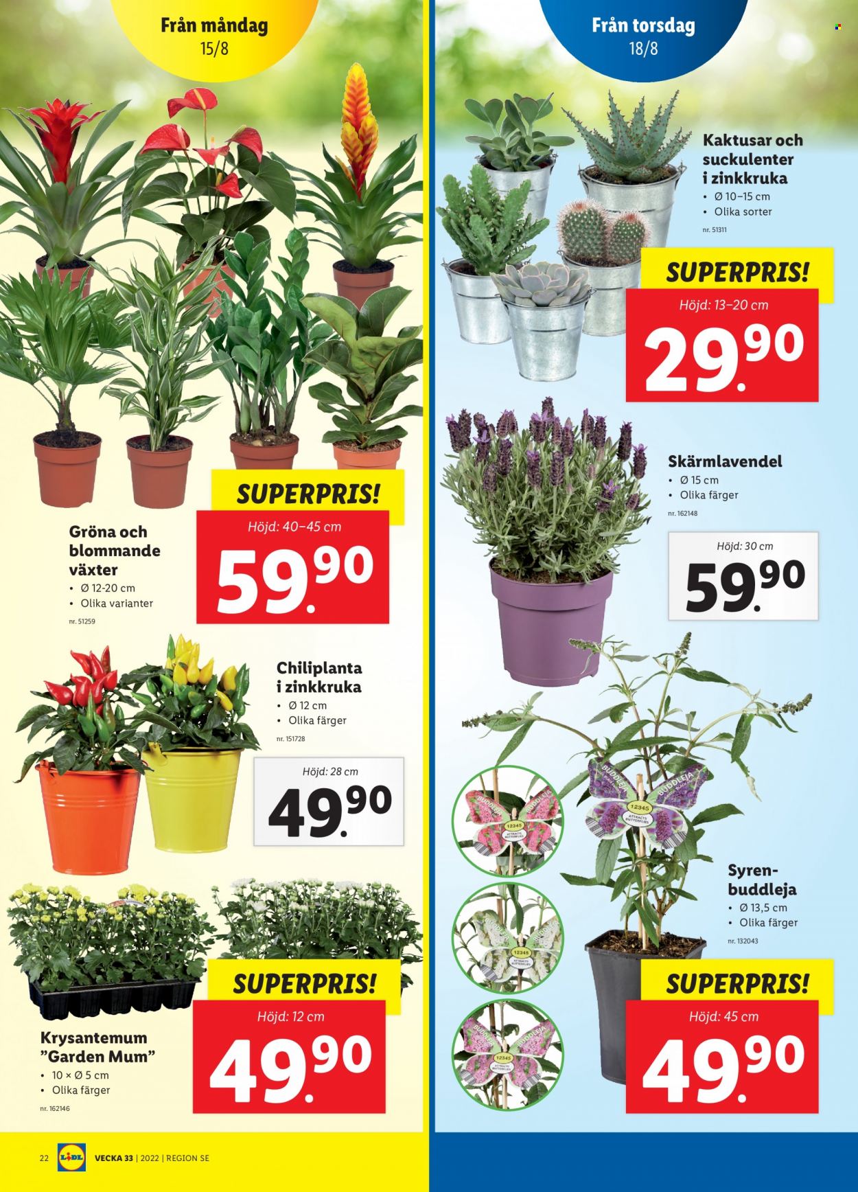 Lidl reklamblad - 15/8 2022 - 21/8 2022. Sida 22