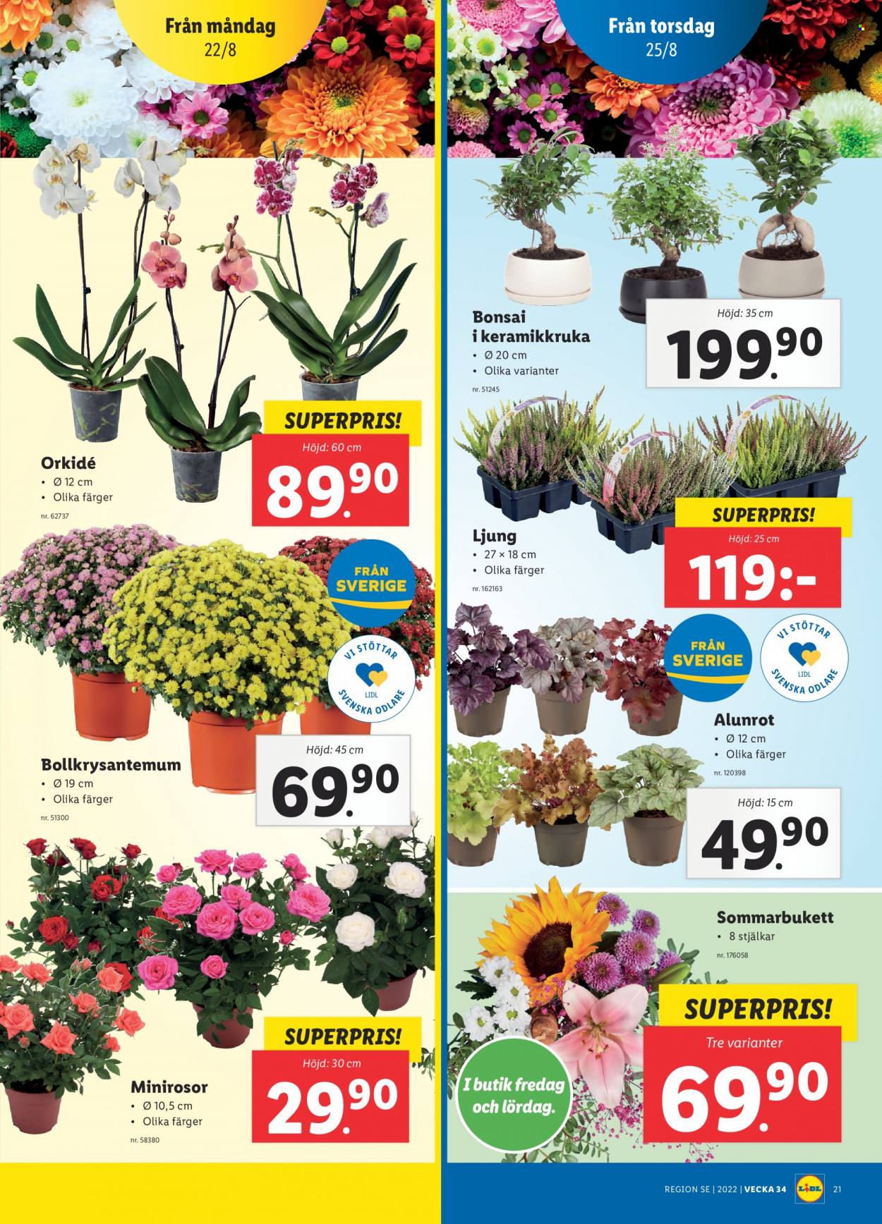 Lidl reklamblad - 22/8 2022 - 28/8 2022. Sida 23