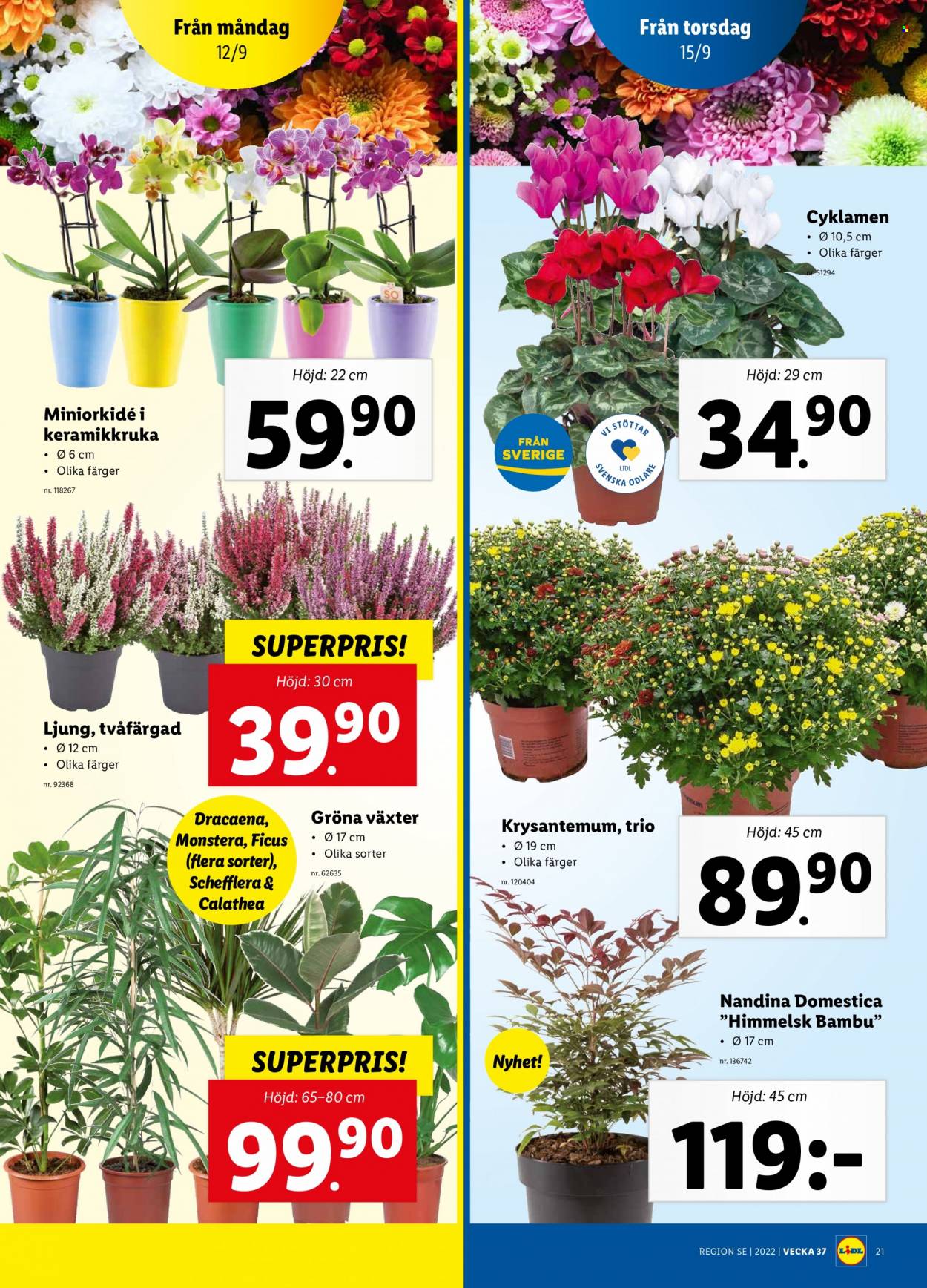 Lidl reklamblad - 12/9 2022 - 18/9 2022. Sida 23