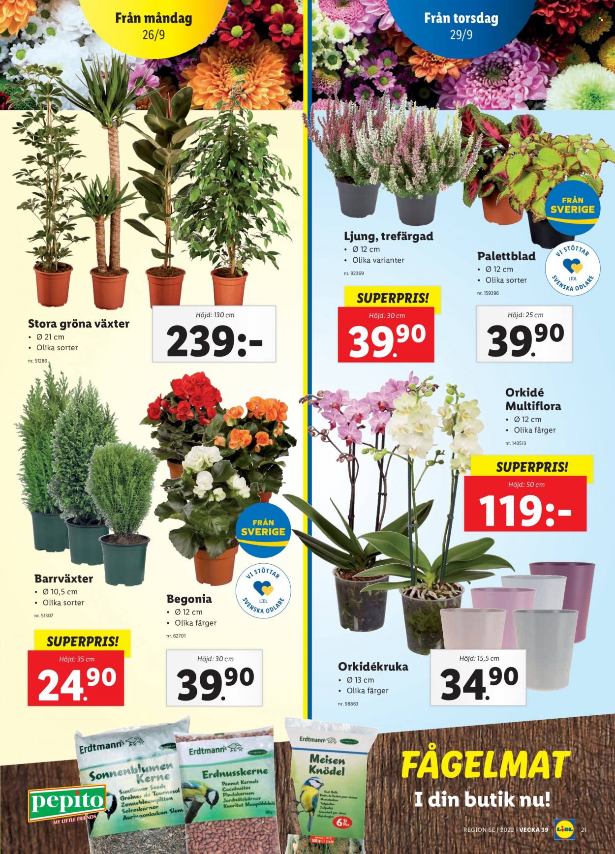 Lidl reklamblad - 26/9 2022 - 2/10 2022. Sida 23