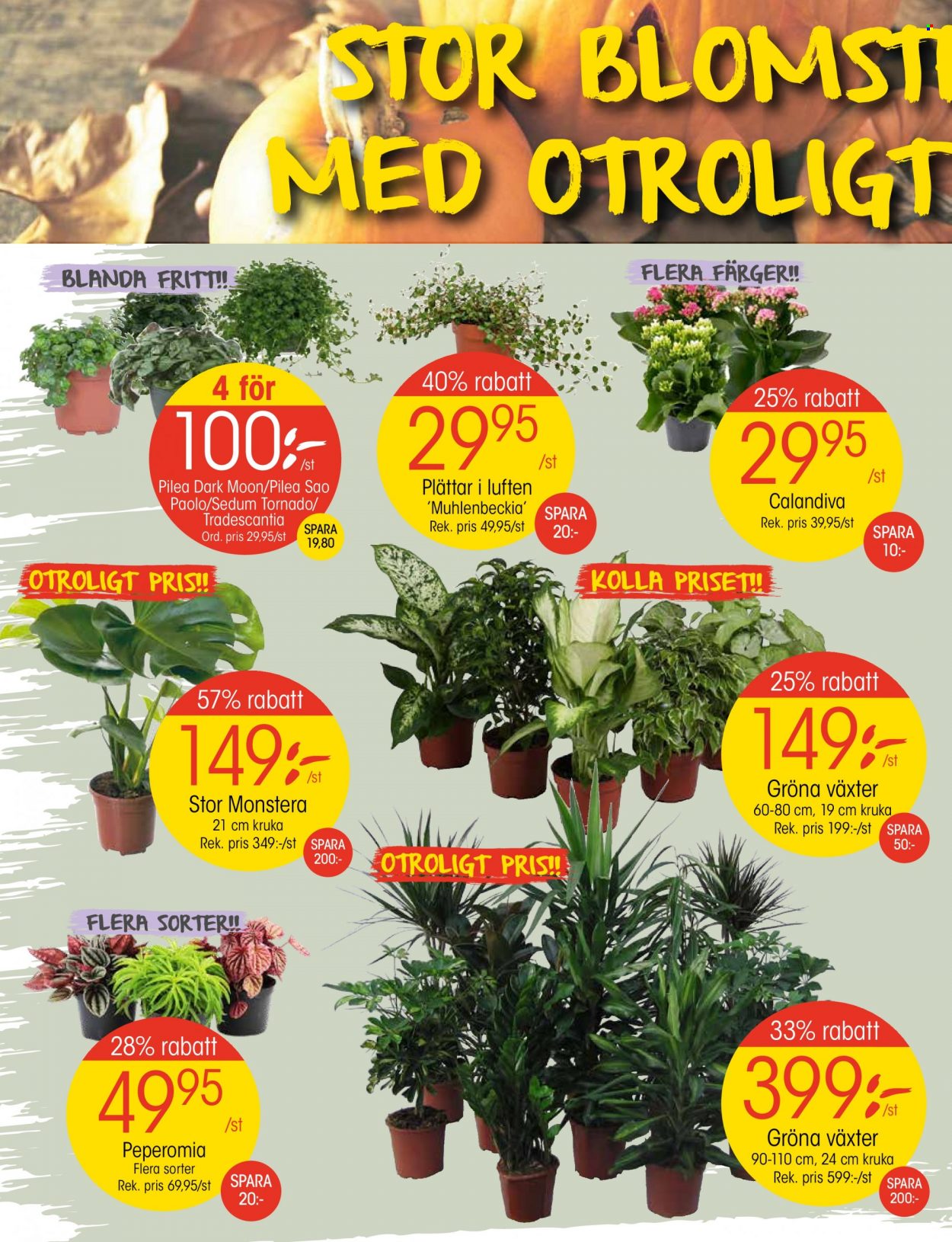 EKO reklamblad - 26/9 2022 - 2/10 2022. Sida 4
