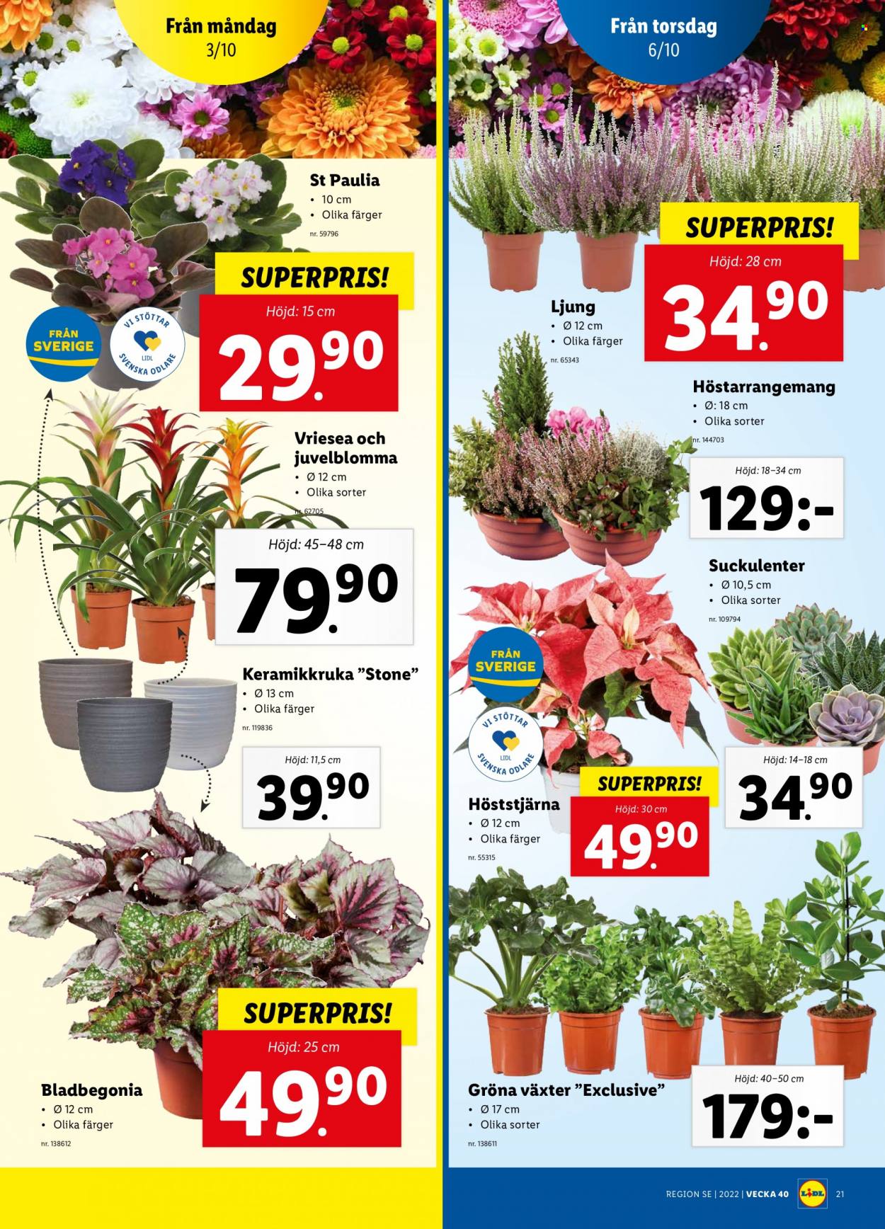 Lidl reklamblad - 3/10 2022 - 9/10 2022. Sida 22