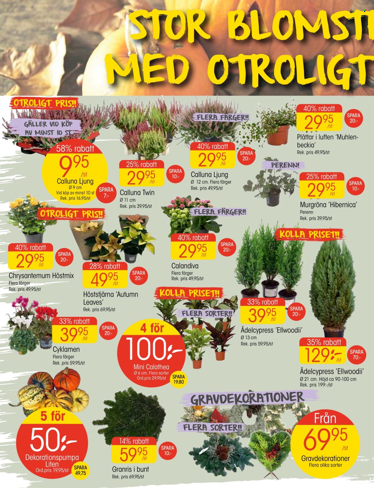 EKO reklamblad - 24/10 2022 - 30/10 2022. Sida 2