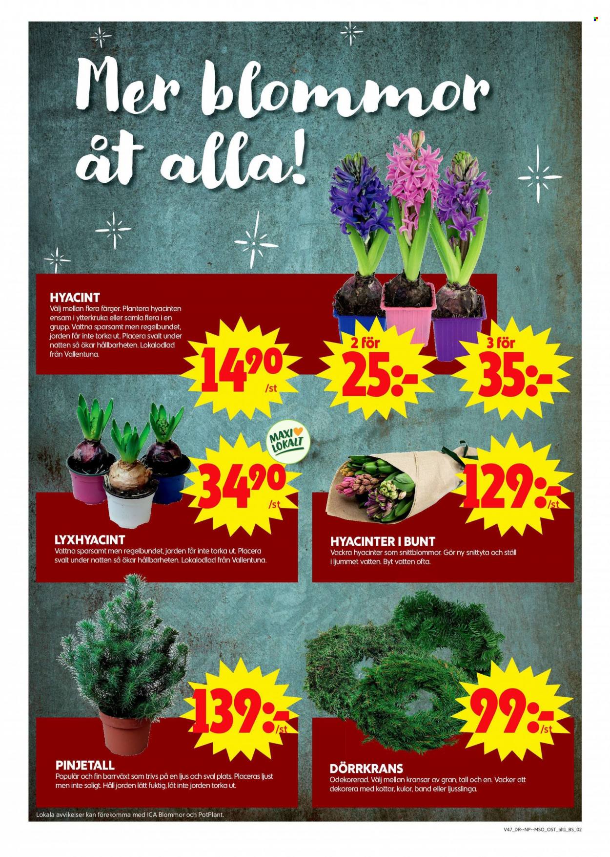 ICA reklamblad - 21/11 2022 - 27/11 2022. Sida 2