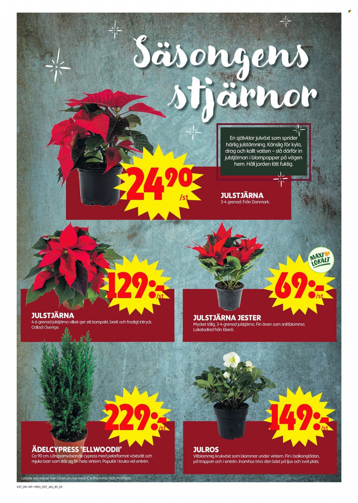 ICA reklamblad - 21/11 2022 - 27/11 2022. Sida 3