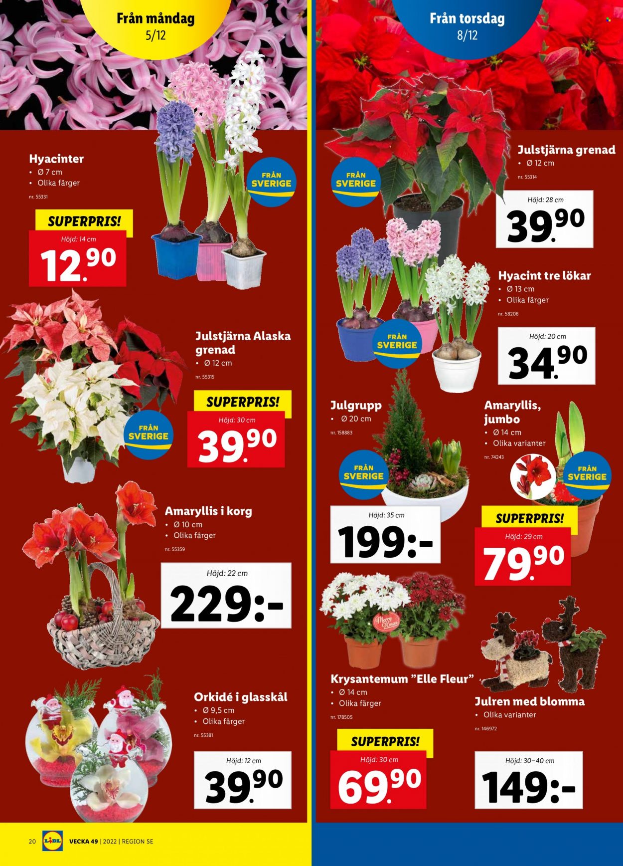 Lidl reklamblad - 5/12 2022 - 11/12 2022. Sida 22