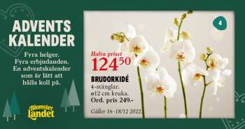 Blomsterlandet reklamblad - 16/12 2022 - 18/12 2022.