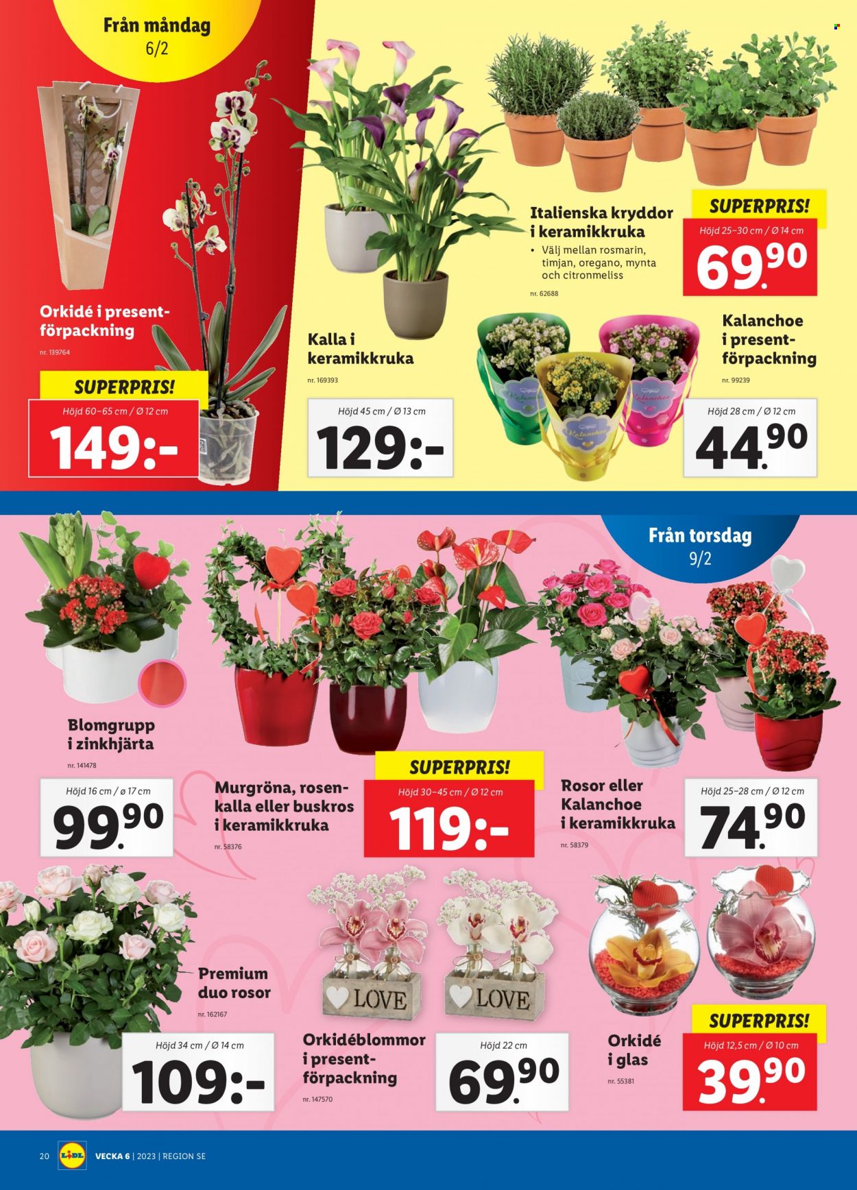 Lidl reklamblad - 6/2 2023 - 12/2 2023. Sida 23