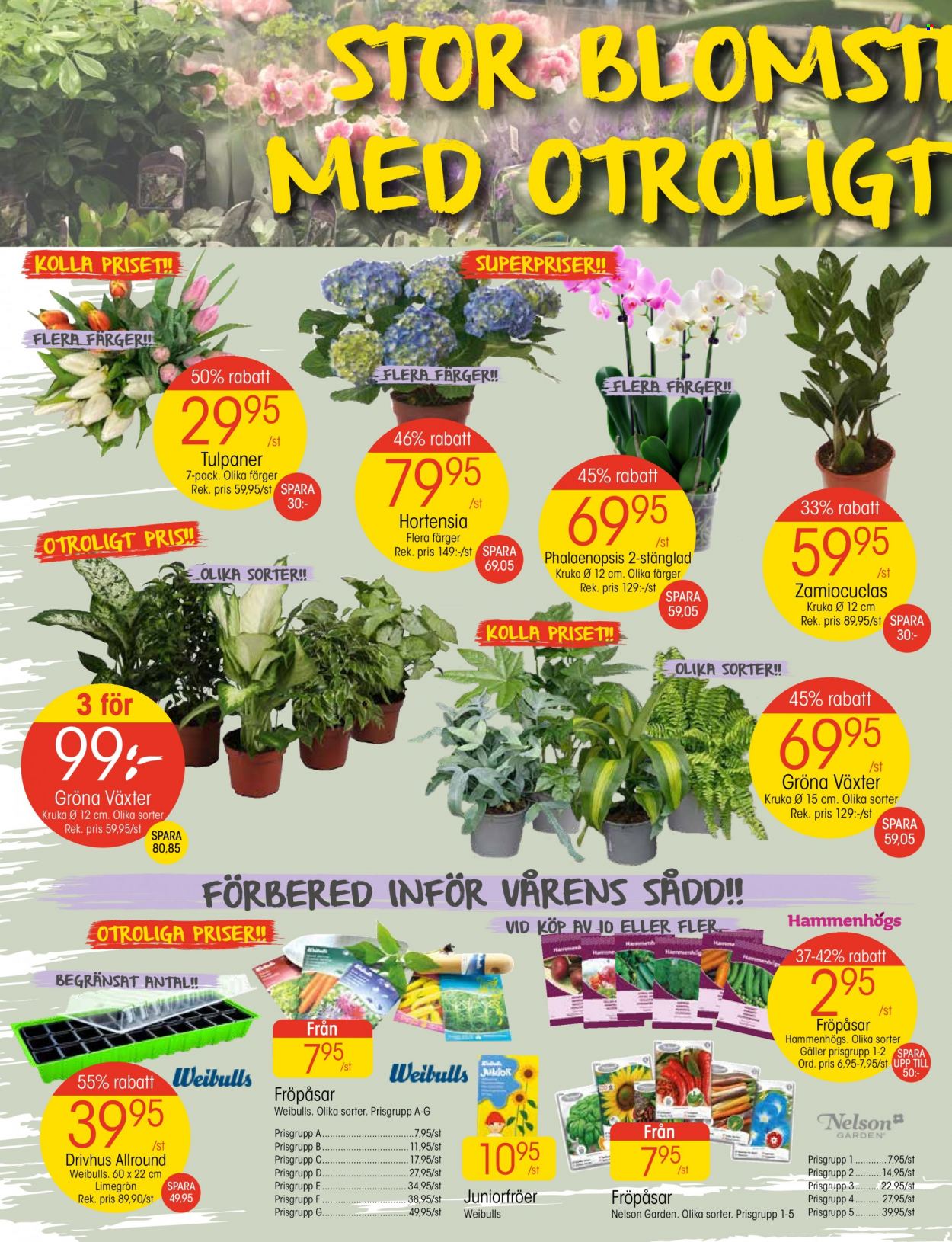 EKO reklamblad - 30/1 2023 - 5/2 2023. Sida 2