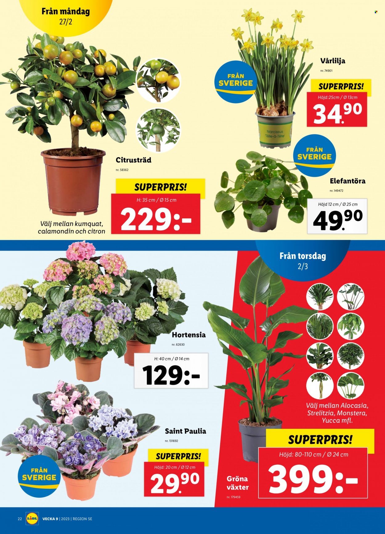Lidl reklamblad - 27/2 2023 - 5/3 2023. Sida 26