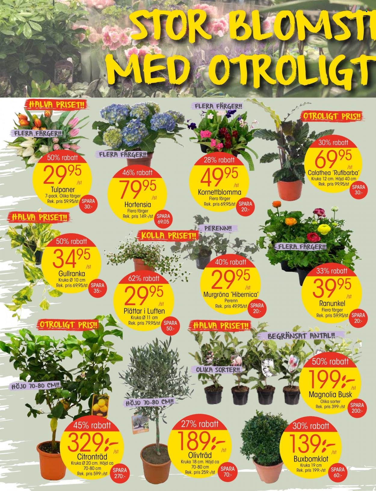 EKO reklamblad - 27/2 2023 - 5/3 2023. Sida 4
