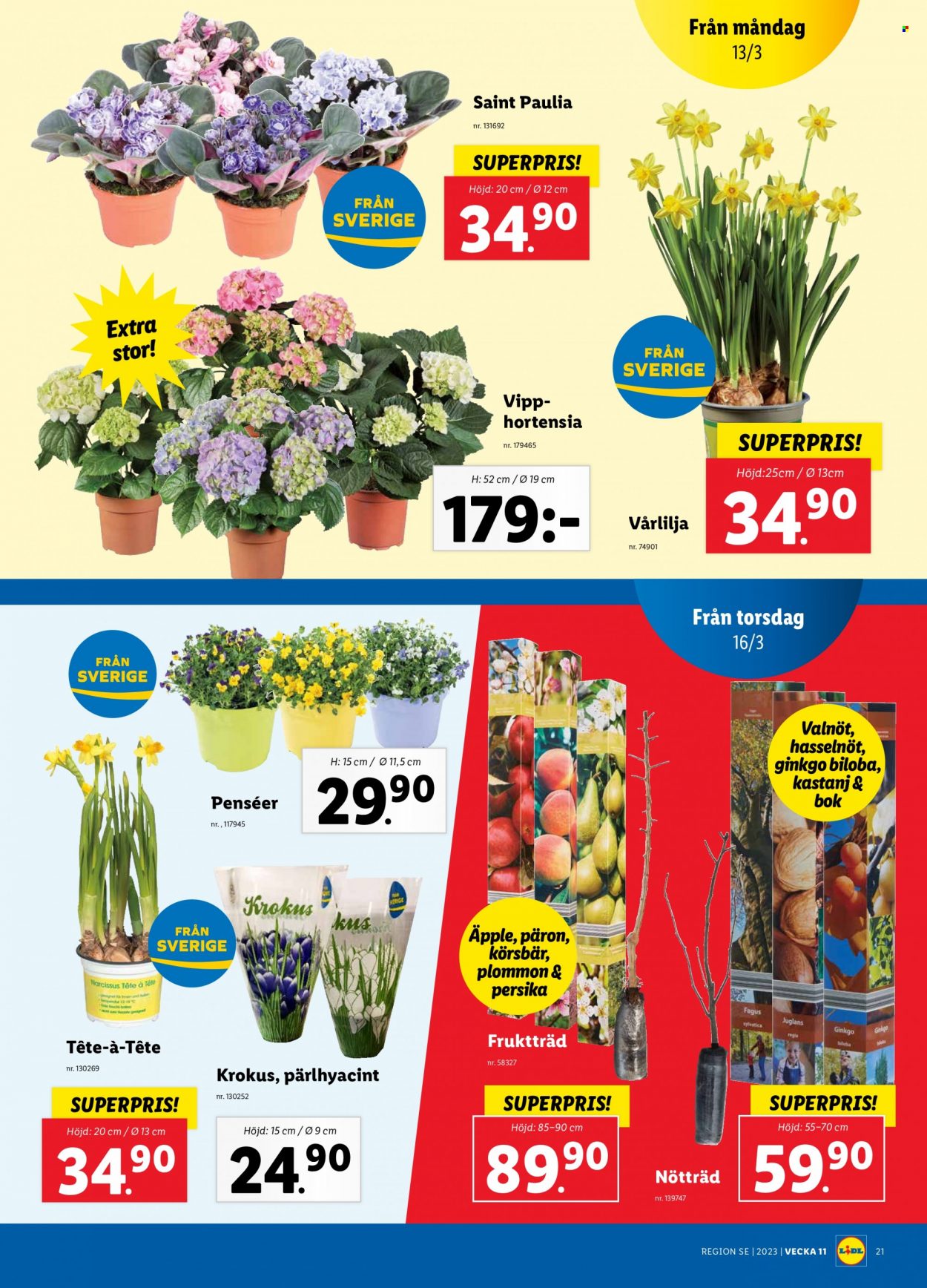 Lidl reklamblad - 13/3 2023 - 19/3 2023. Sida 22