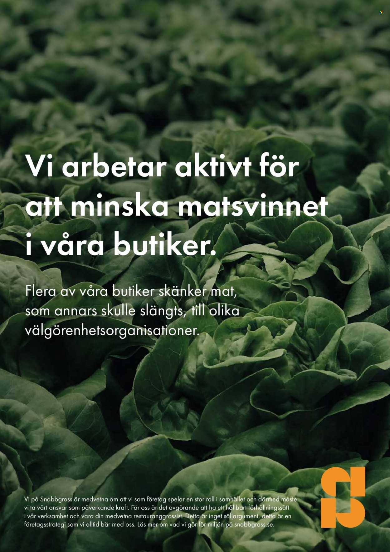 Snabbgross reklamblad - 10/4 2023 - 23/4 2023. Sida 15