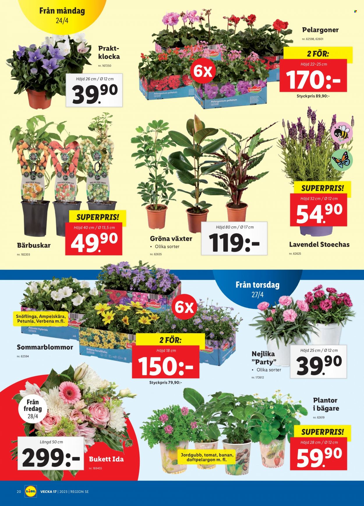 Lidl reklamblad - 24/4 2023 - 30/4 2023. Sida 22