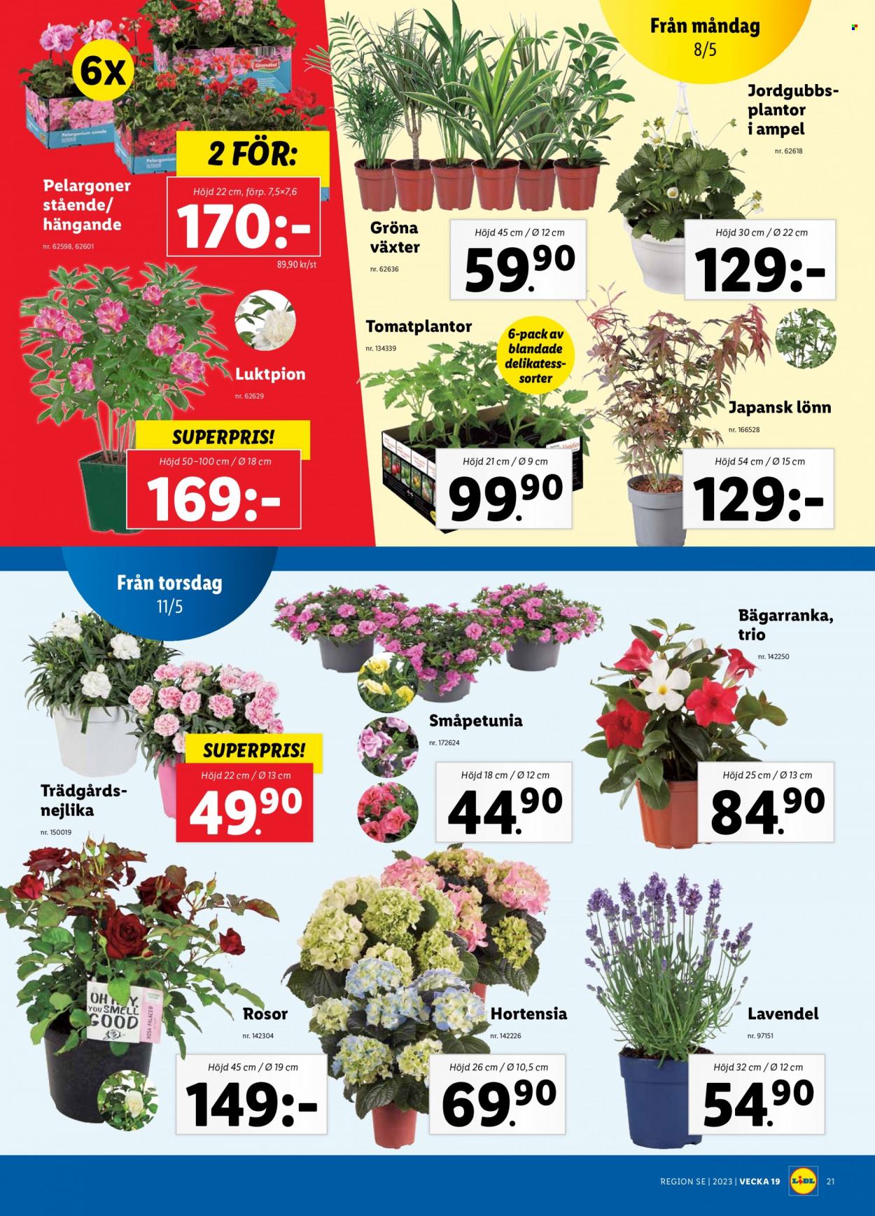 Lidl reklamblad - 8/5 2023 - 14/5 2023. Sida 25