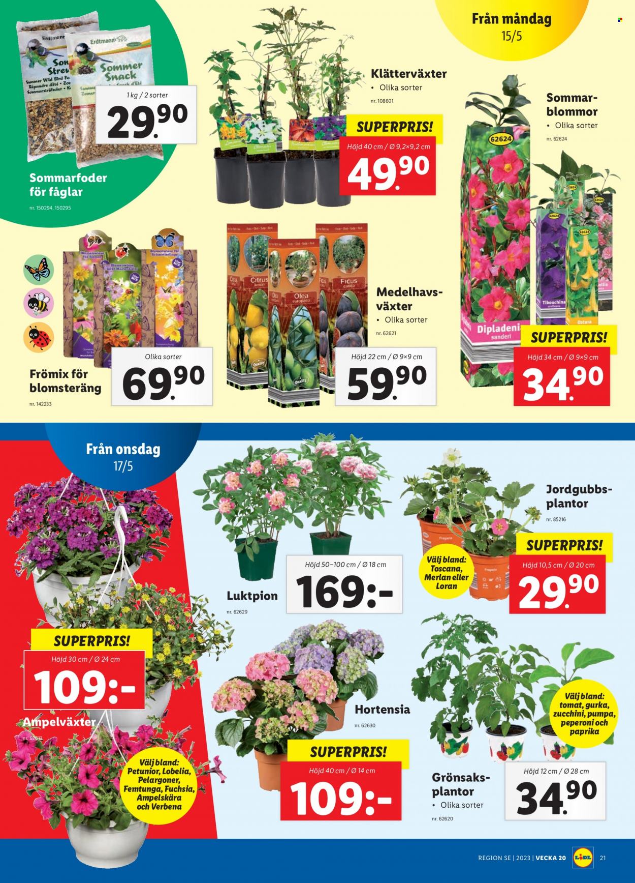 Lidl reklamblad - 15/5 2023 - 21/5 2023. Sida 8