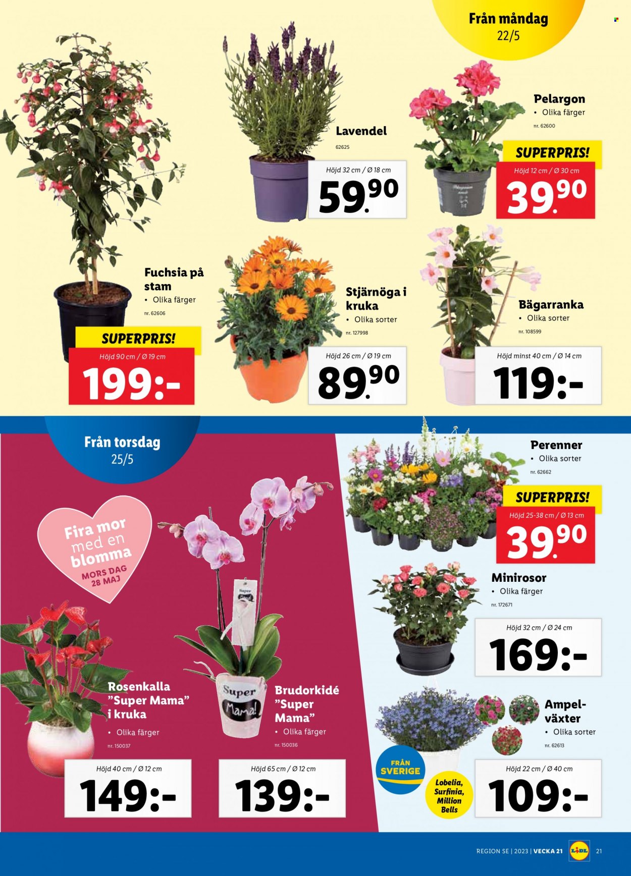 Lidl reklamblad - 22/5 2023 - 28/5 2023. Sida 8