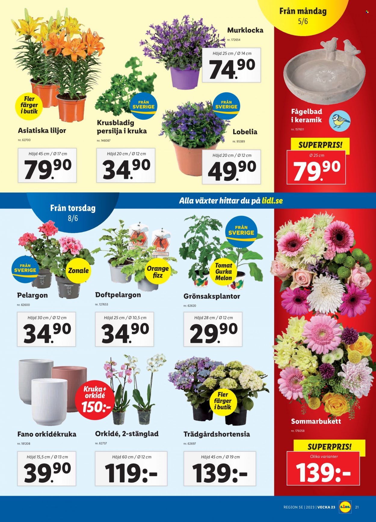 Lidl reklamblad - 5/6 2023 - 11/6 2023. Sida 24