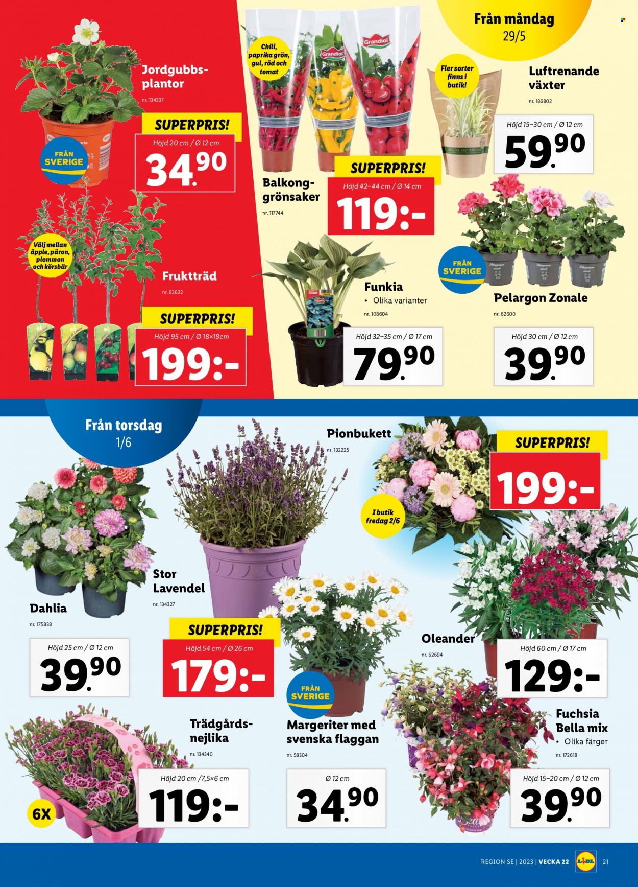 Lidl reklamblad - 29/5 2023 - 4/6 2023. Sida 8