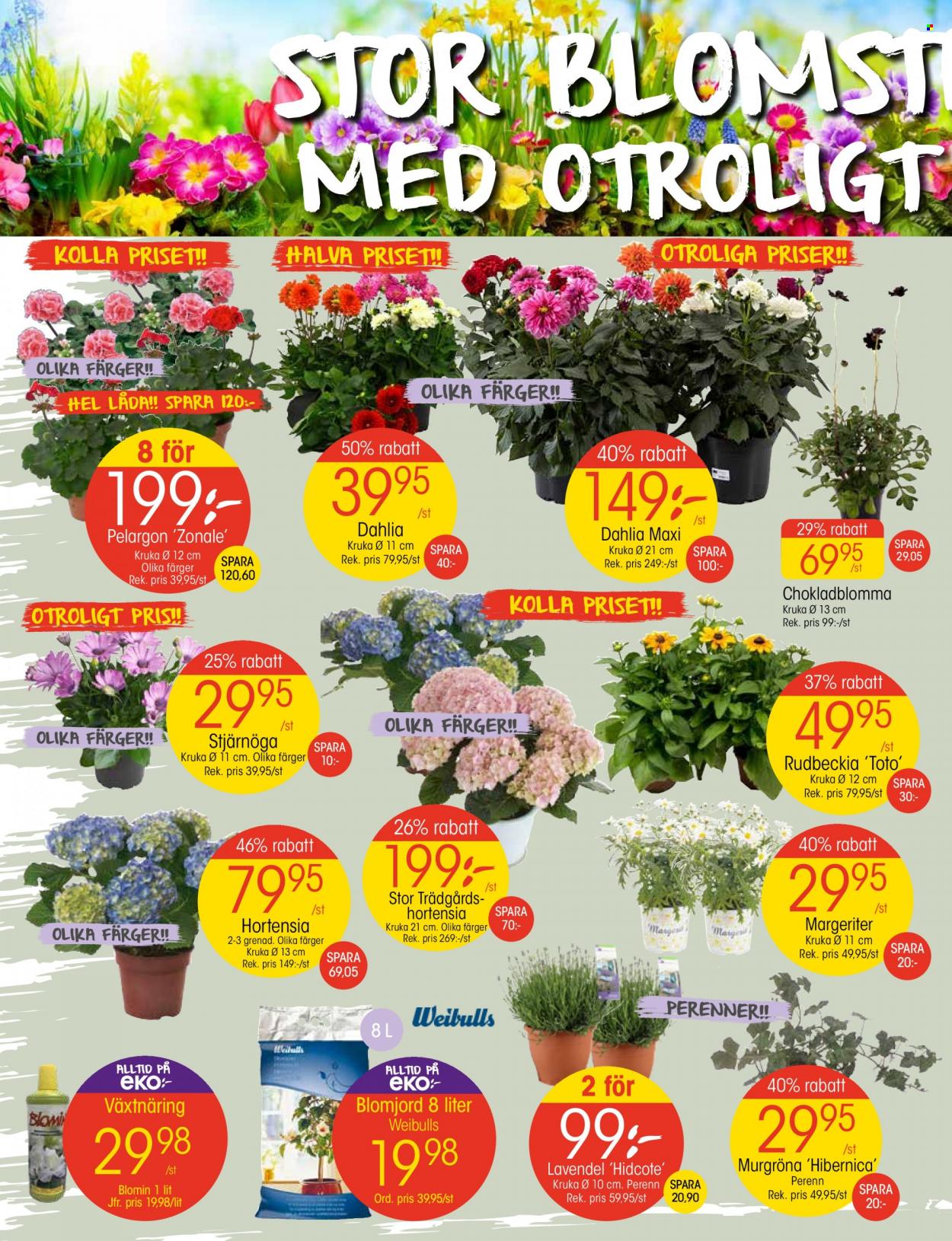 EKO reklamblad - 12/6 2023 - 18/6 2023. Sida 2