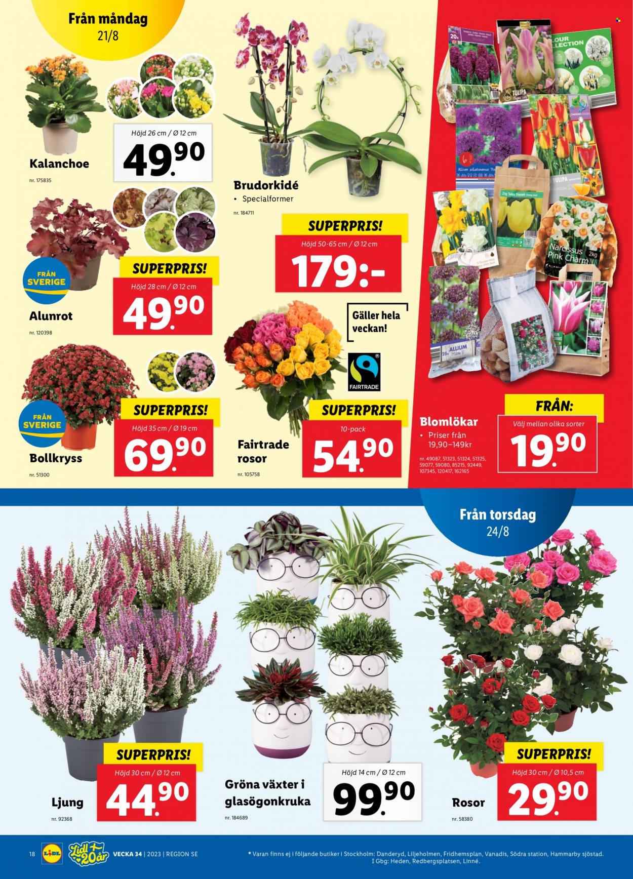 Lidl reklamblad - 21/8 2023 - 27/8 2023. Sida 21