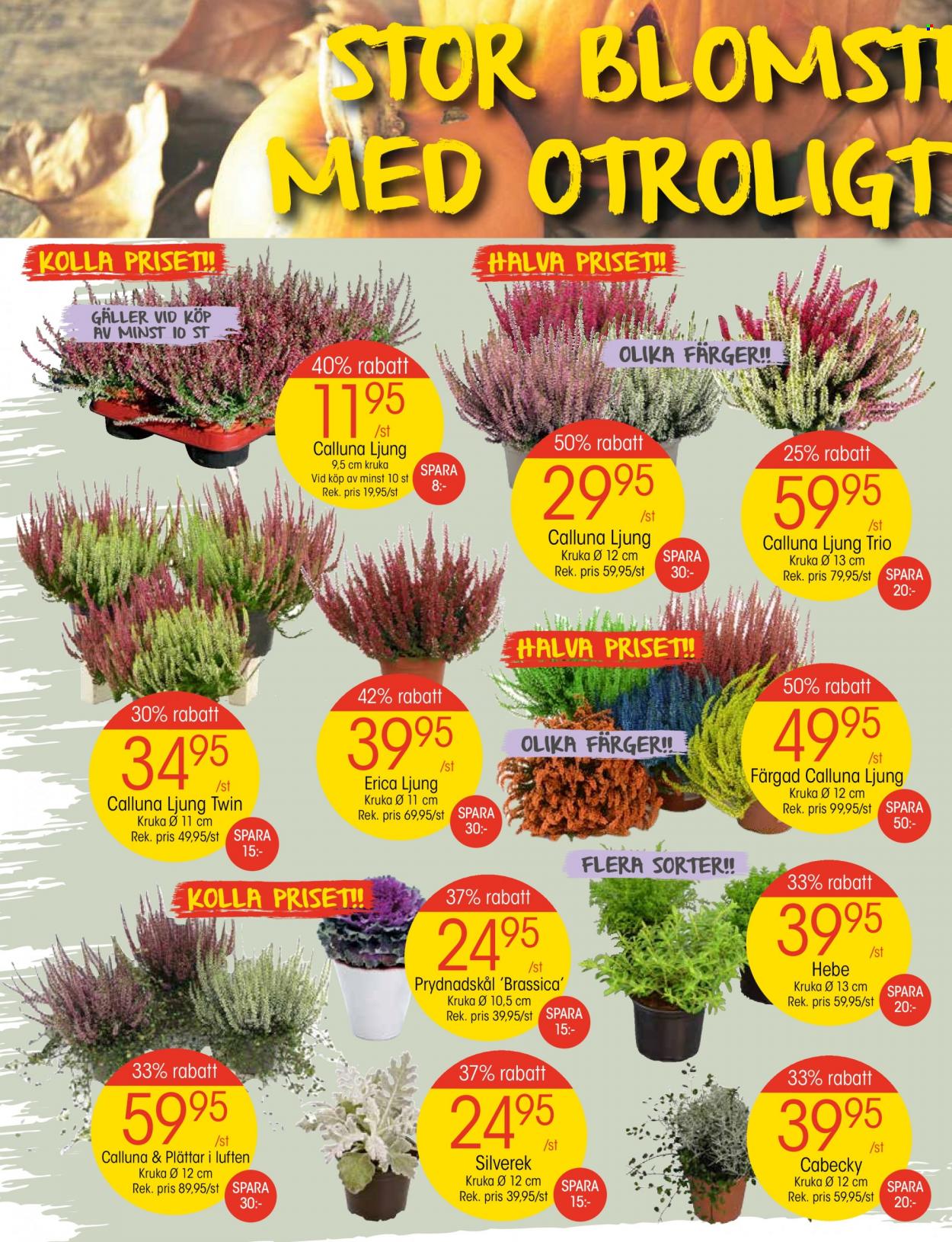 EKO reklamblad - 18/9 2023 - 24/9 2023. Sida 2